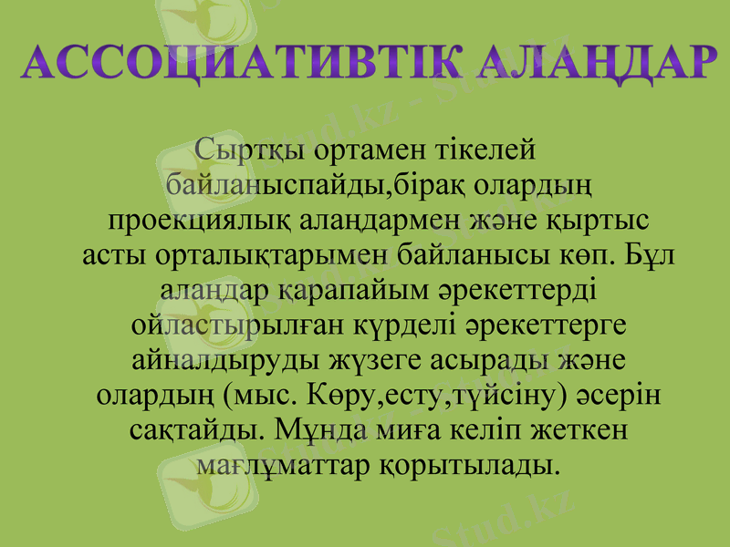 Slide 8