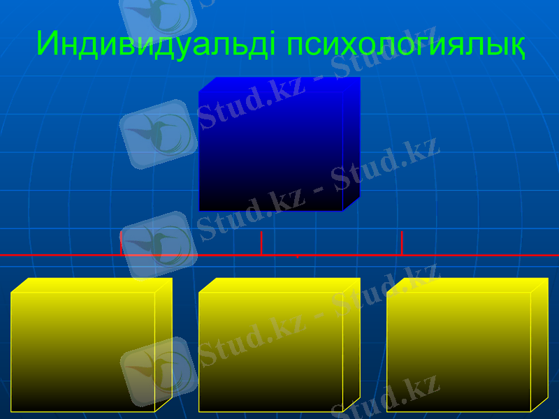 Slide 9