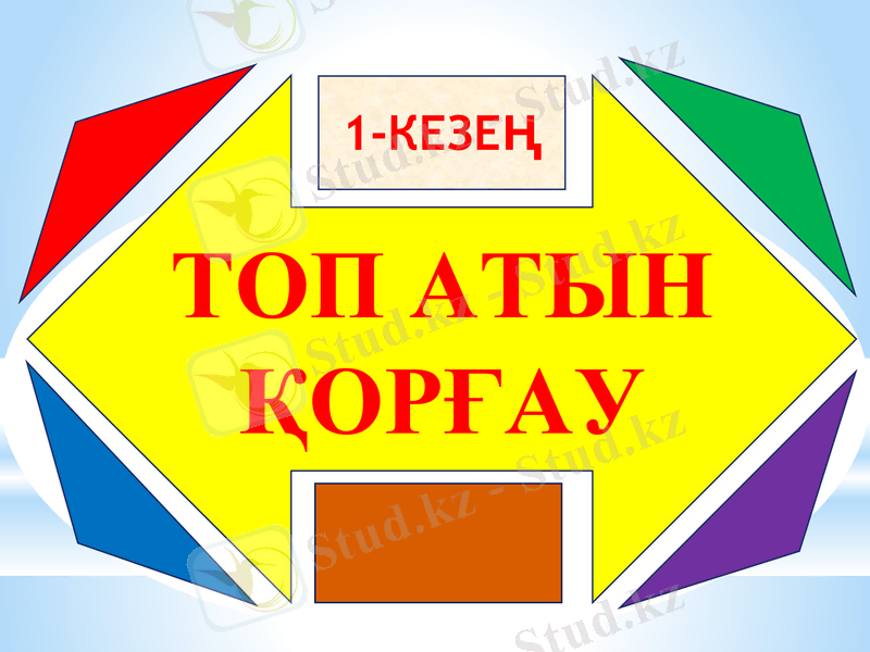 Slide 8