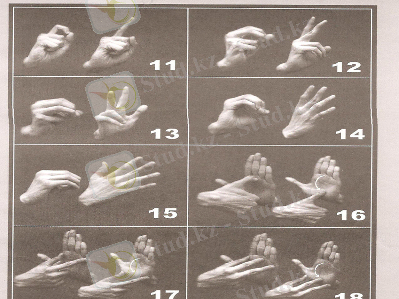 Slide 15