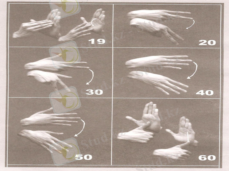 Slide 17