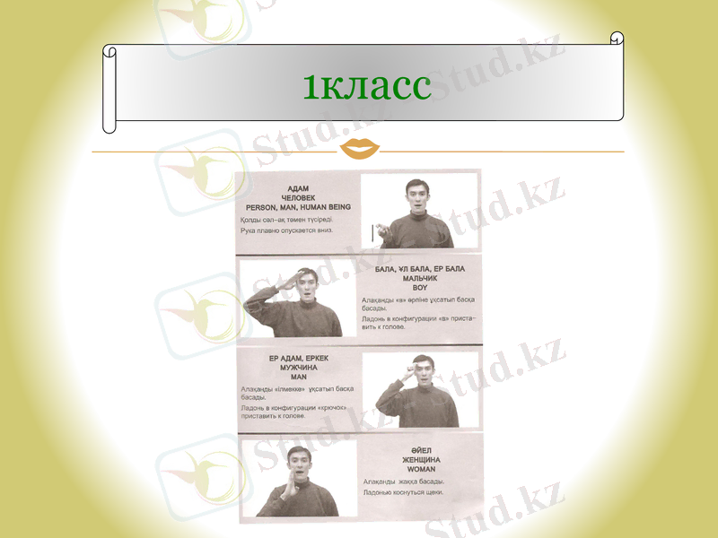 Slide 6