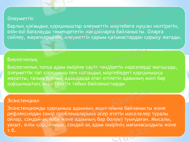 Slide 11