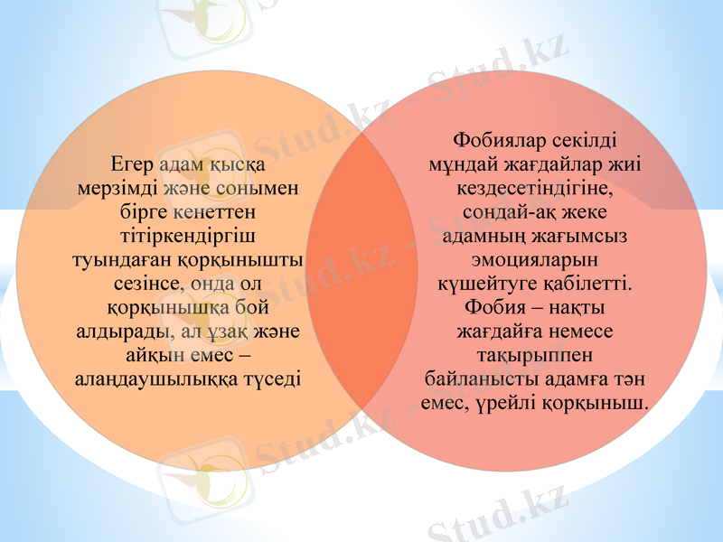 Slide 7