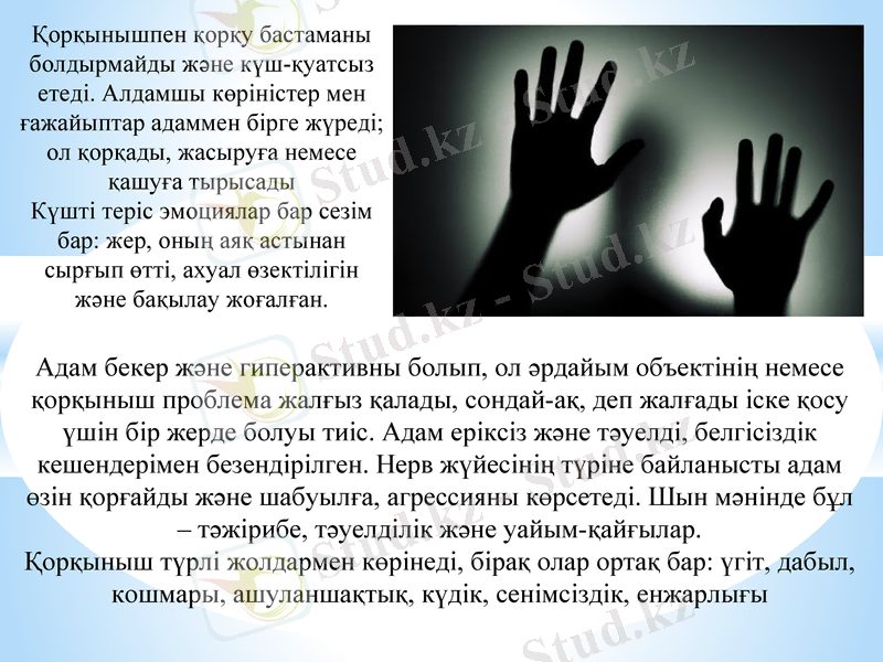 Slide 9