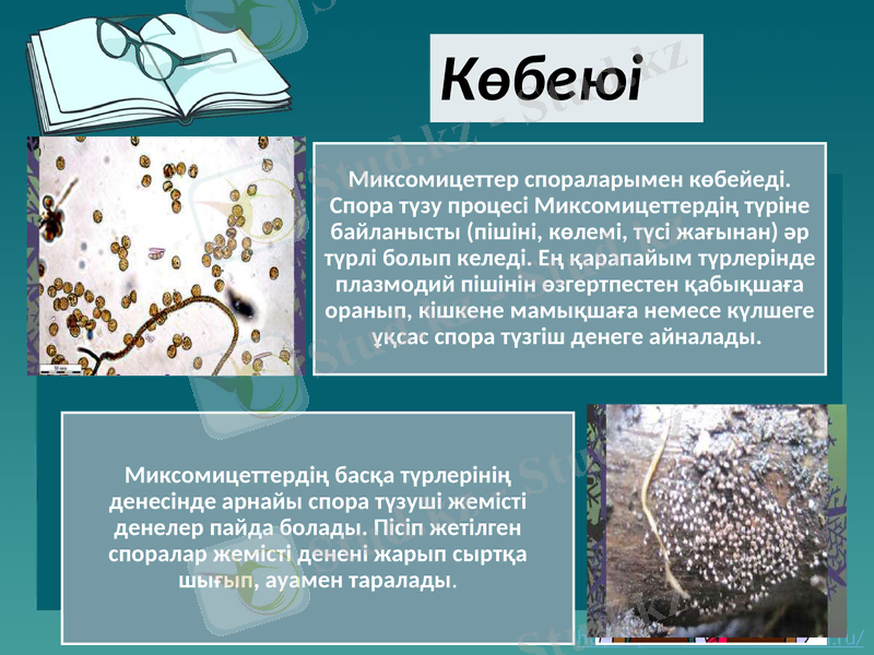 Slide 5