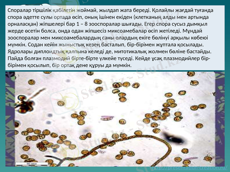 Slide 6