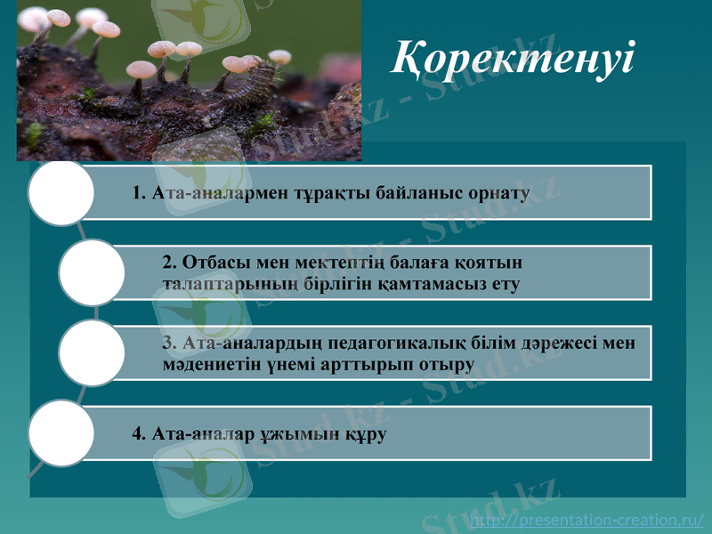 Slide 9