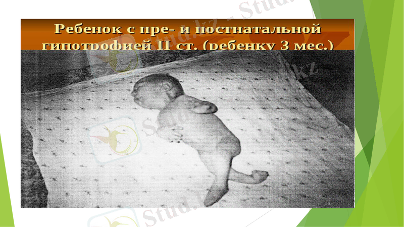 Slide 13
