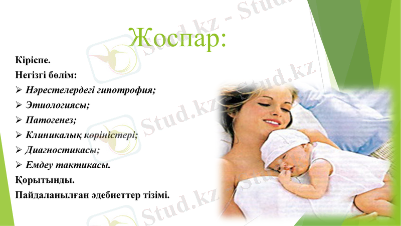 Slide 2