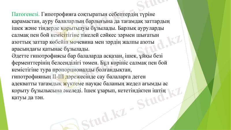 Slide 6