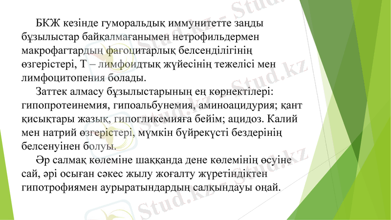 Slide 7