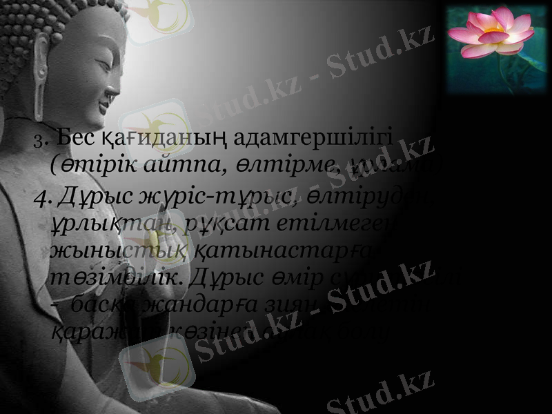 Slide 11