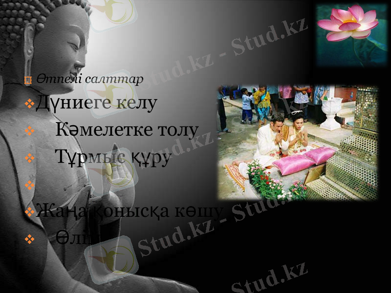 Slide 17