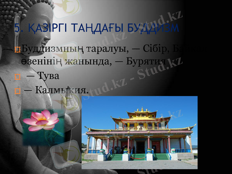Slide 19