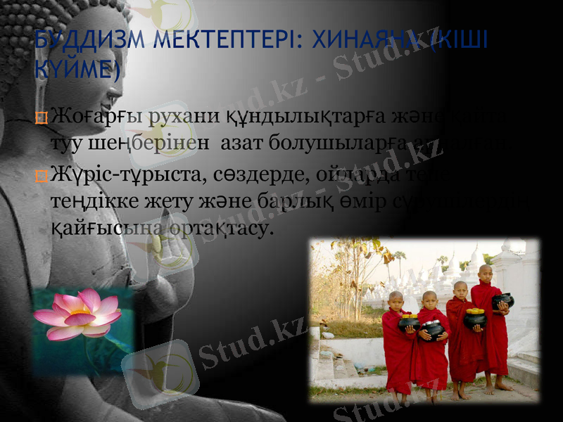 Slide 8