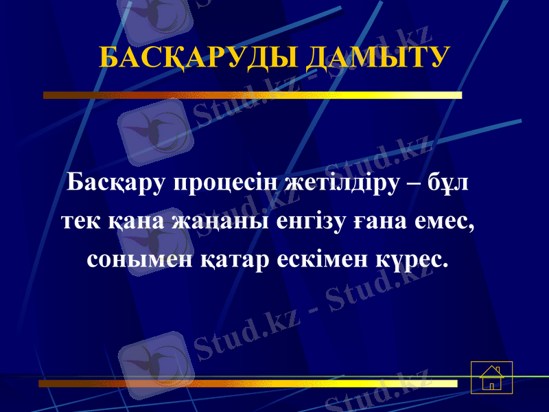 Slide 11