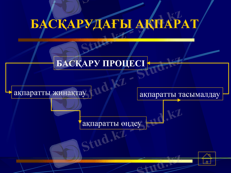 Slide 12