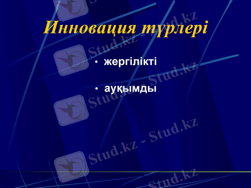 Slide 19