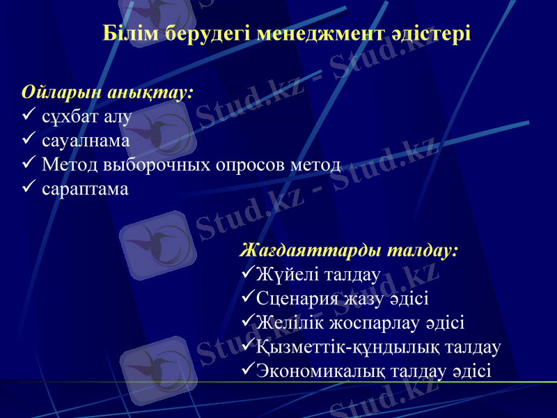 Slide 6