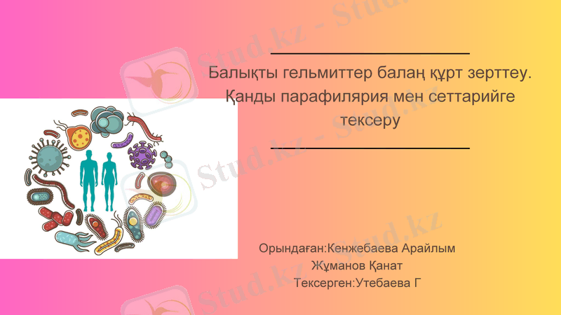 Slide 1