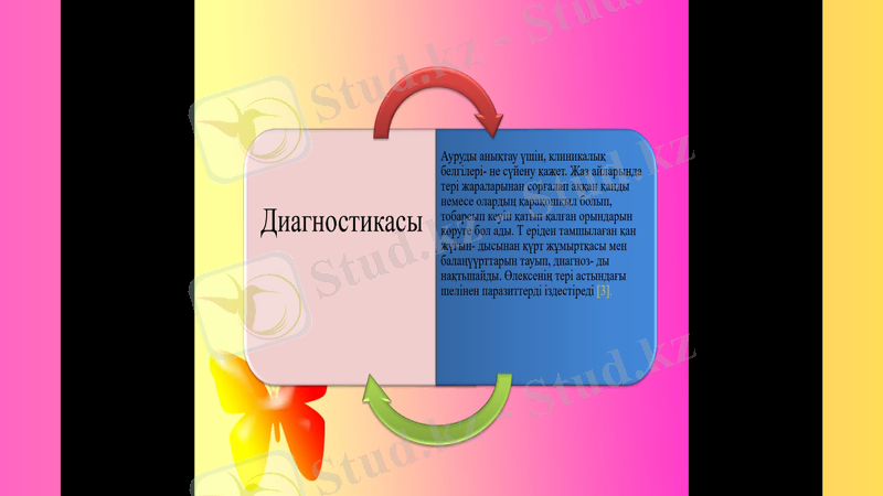 Slide 12