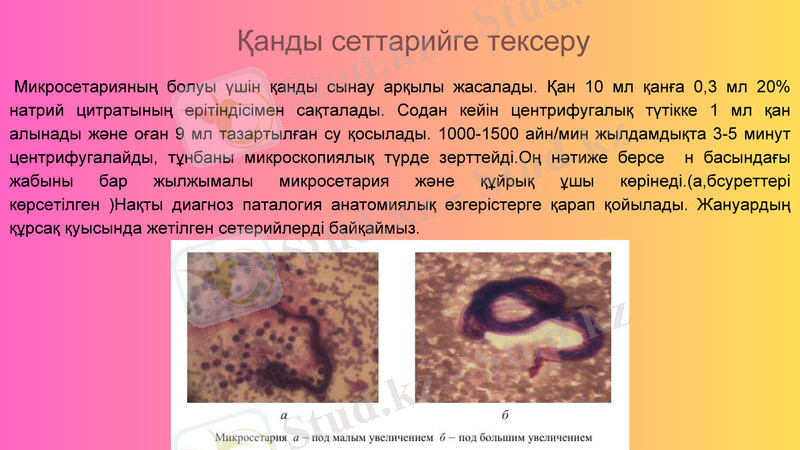 Slide 13