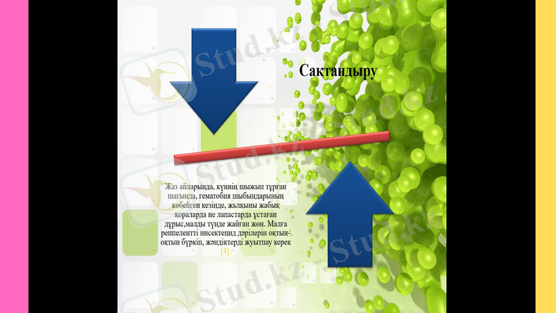 Slide 14