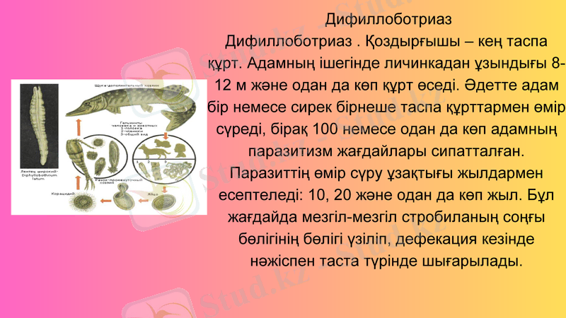 Slide 6
