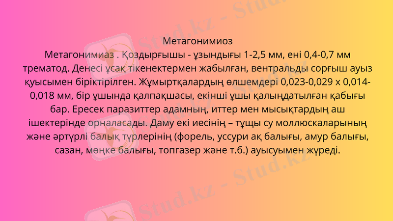 Slide 8