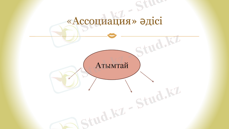 Slide 5