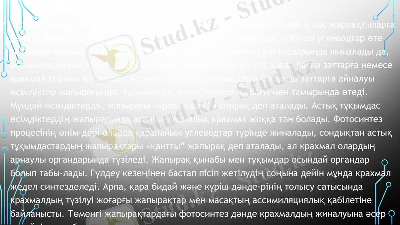 Slide 10
