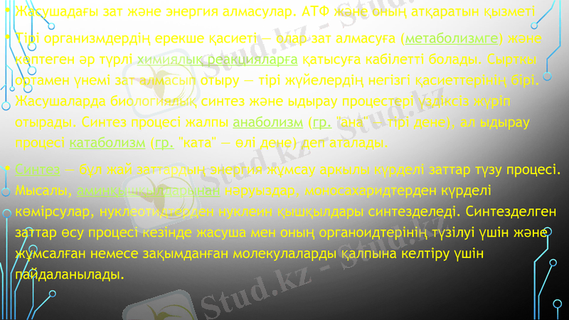 Slide 11