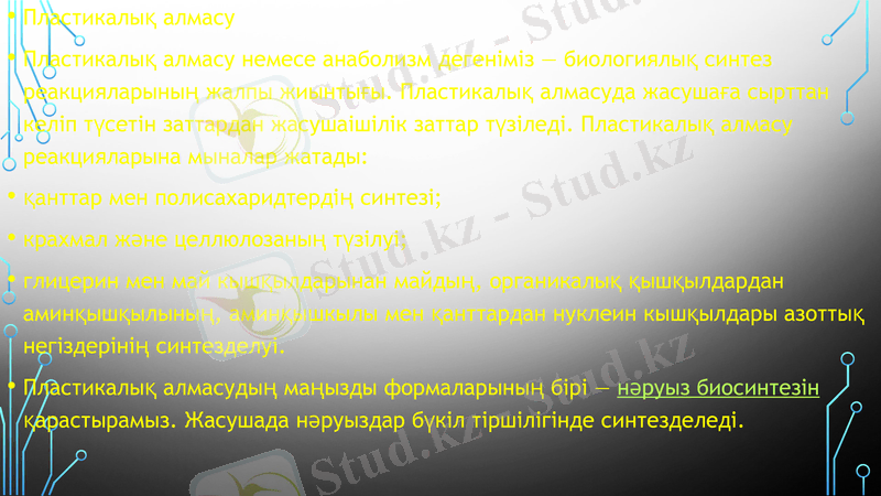 Slide 12