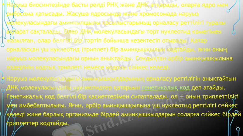 Slide 13
