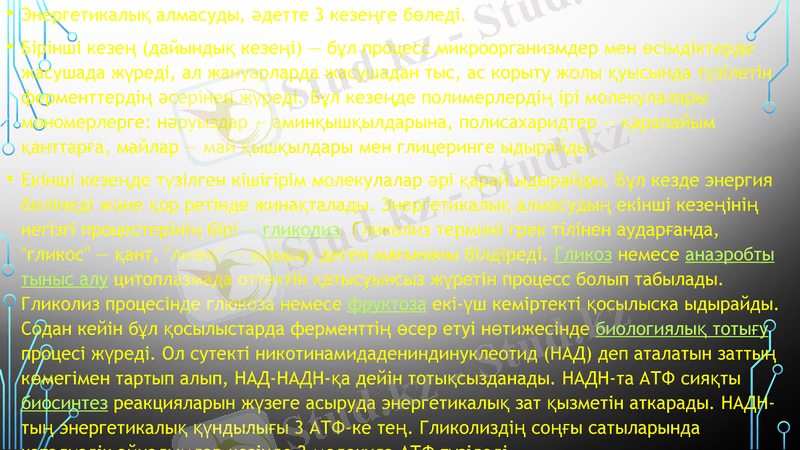 Slide 15