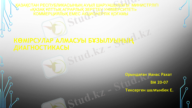 Slide 2