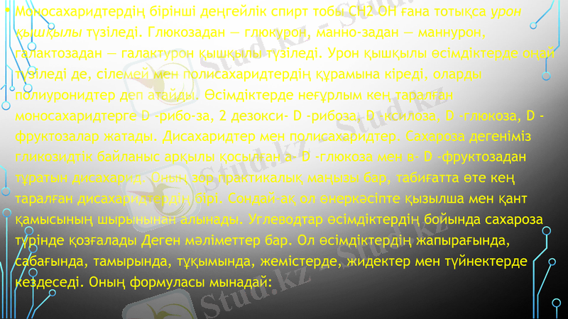 Slide 8