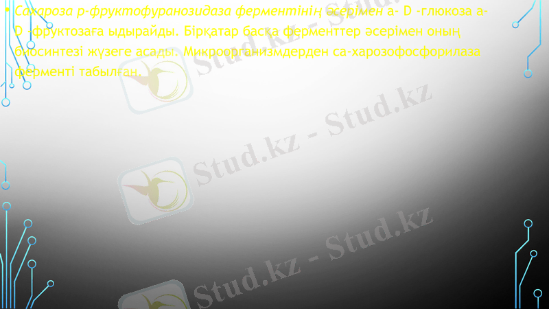 Slide 9