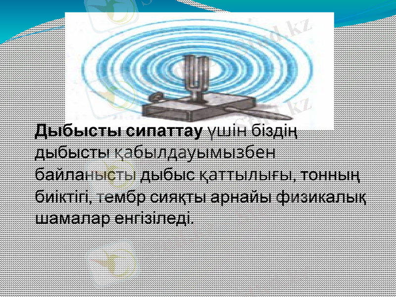 Slide 11