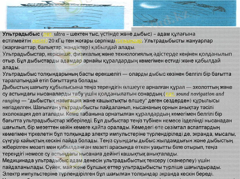 Slide 6