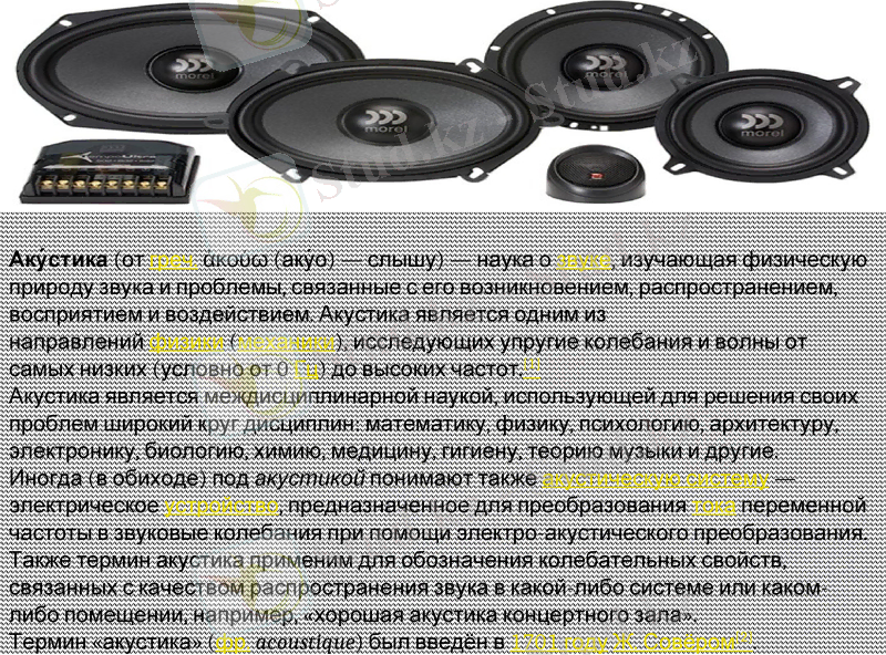 Slide 8