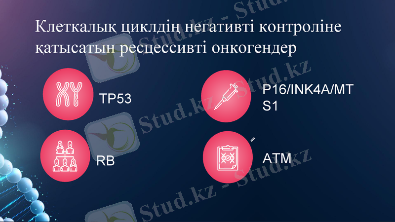 Slide 10