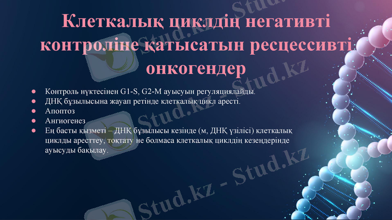 Slide 12