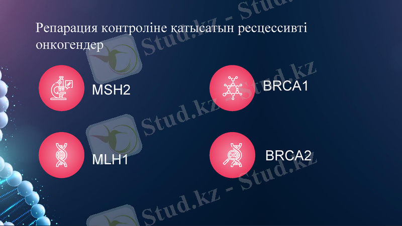 Slide 13