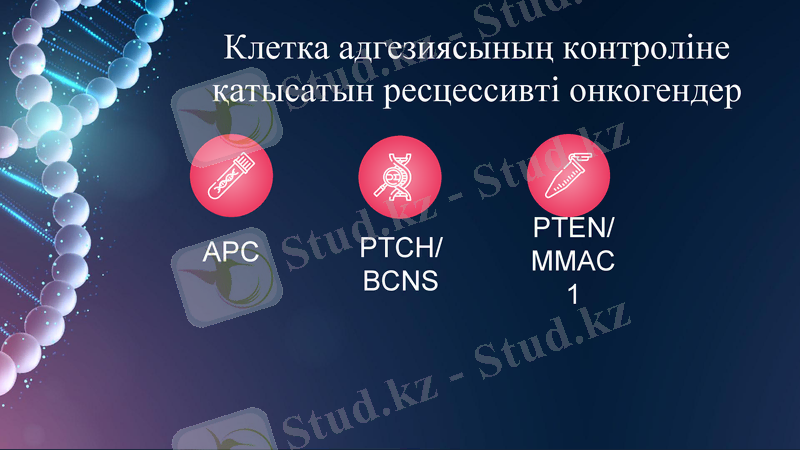 Slide 14