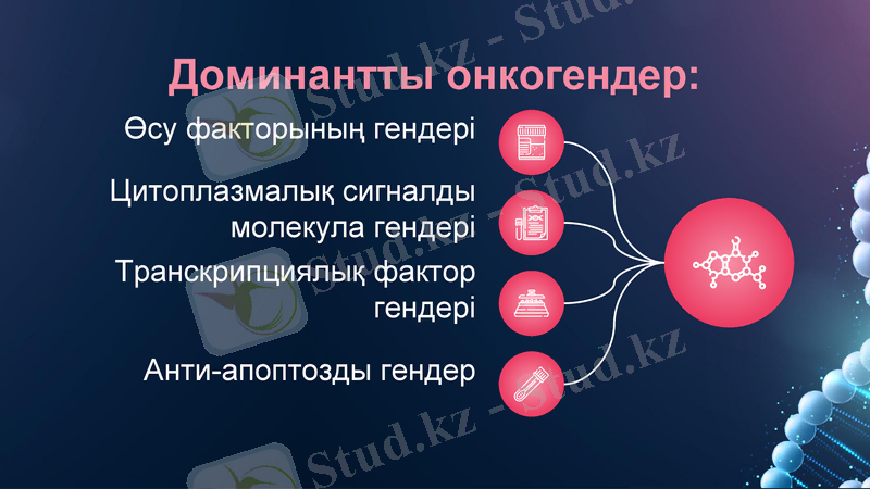 Slide 15