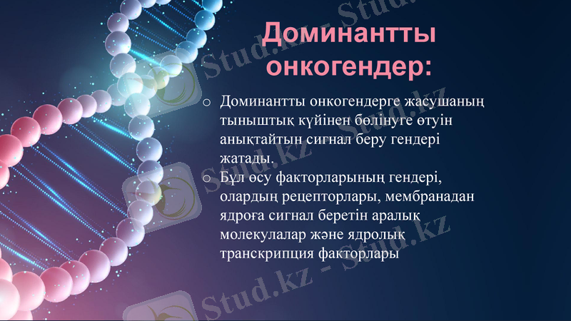Slide 16