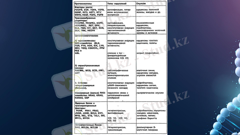 Slide 17