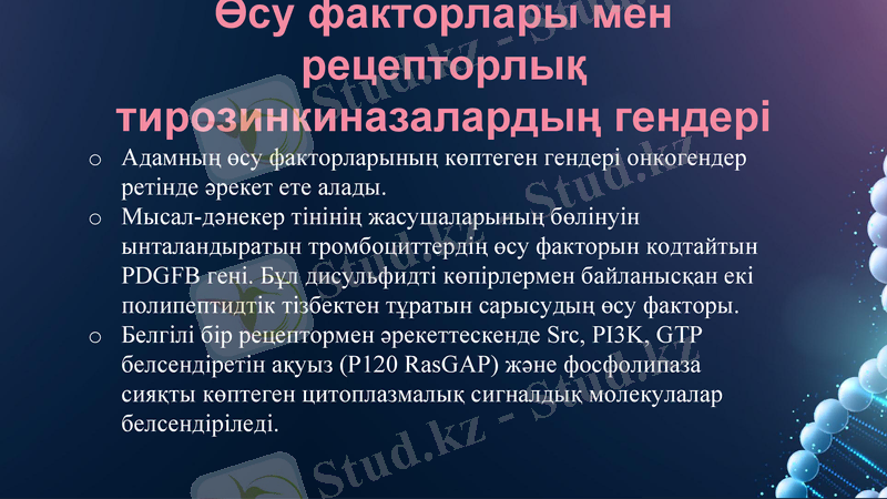 Slide 18